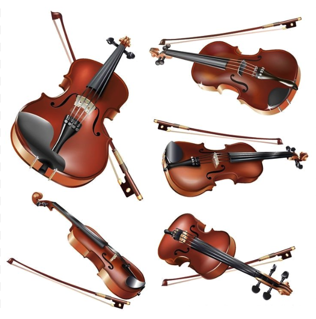 Violin